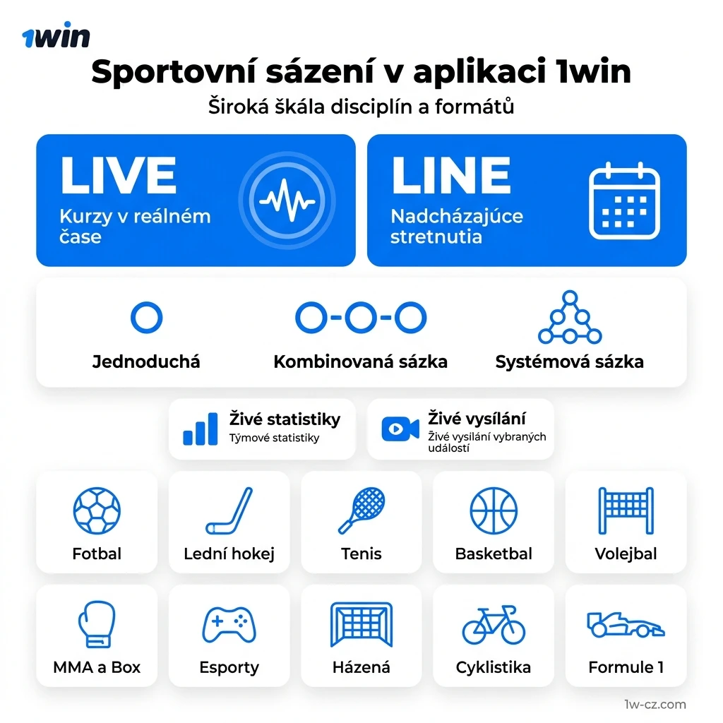 Ilustrační obrázek