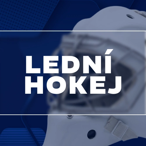 Vyzkoušejte online hokejové sázky a vyhrávejte peníze na 1W.